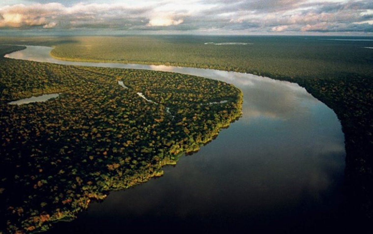 Após vitória de Lula, Noruega anuncia que vai desbloquear Fundo Amazônia